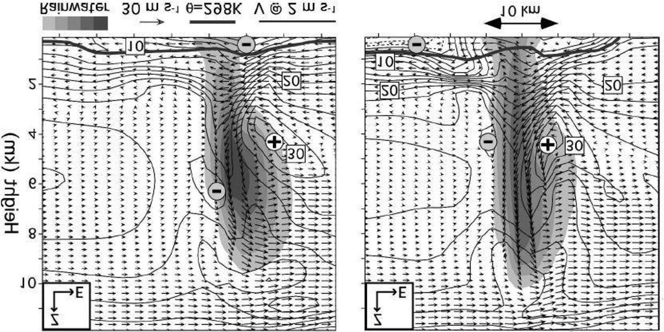 Simulation and image