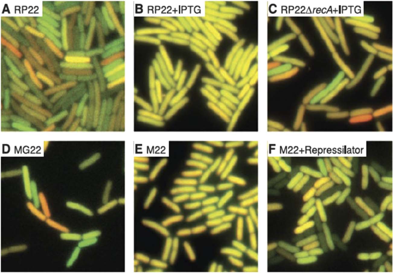 Biological Control image