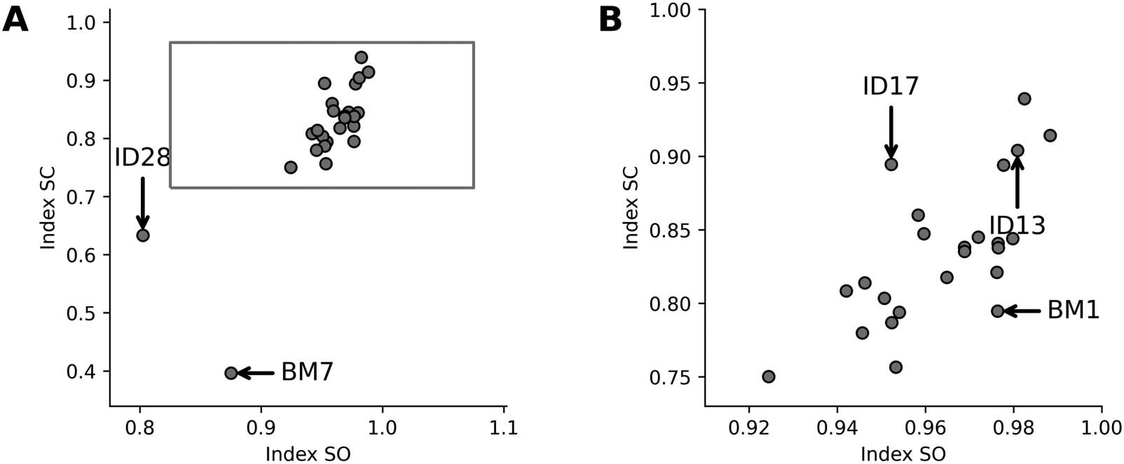 RESEARCH ARTICLE image