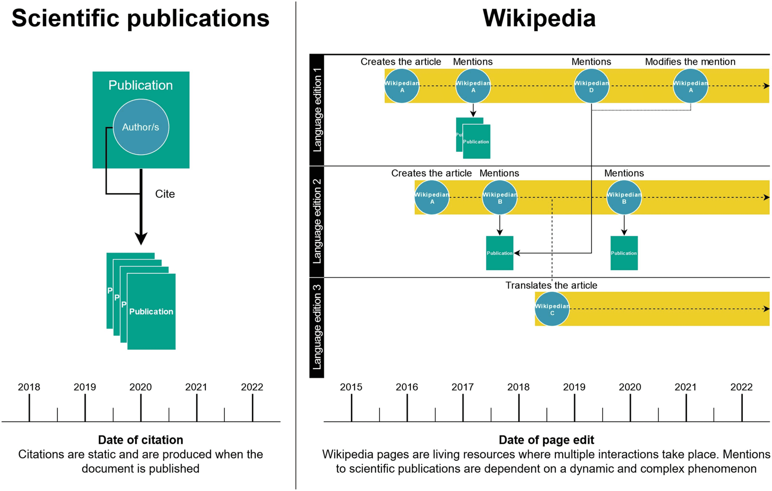 RESEARCH ARTICLE image