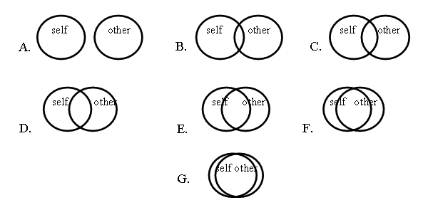 MEASURING “GROUP COHESION” image