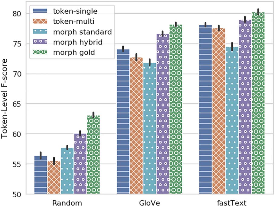 Neural Modeling for Named Entities and Morphology (NEMO2) image